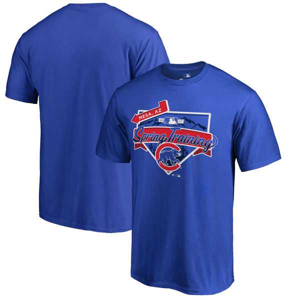Men's Chicago Cubs Fanatics Branded Blue 2017 MLB Spring Training Team Logo Big & Tall T-Shirt,We sell and wholesale Men's Chicago Cubs Fanatics Branded Blue 2017 MLB Spring Training Team Logo Big & Tall T-Shirt on line form chian!